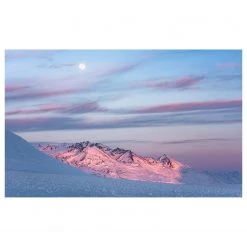 Komar Papier peint intissé Purple Dinner - Intissé - Bleu / Rose