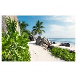 Komar Papier peint intissé Jour de rêve - Intissé - Multicolore