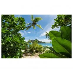 Komar Papier peint intissé Cast Away Jungle - Intissé - Multicolore