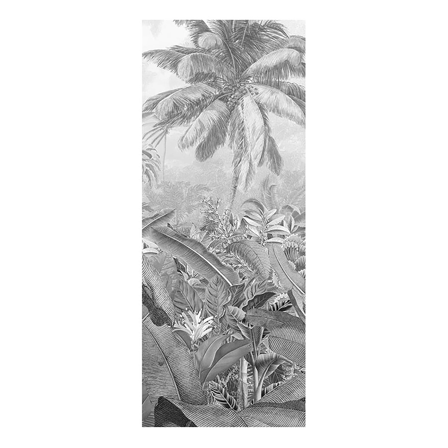 Komar Papier peint intissé Amazonia - Intissé - Noir / Blanc