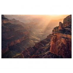 Komar Papier peint intissé Grand Wonder - Intissé - Marron