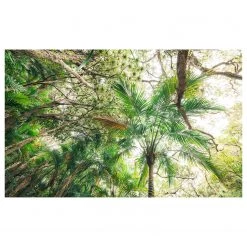 Komar Papier peint intissé Touch the Jungle - Intissé - Vert