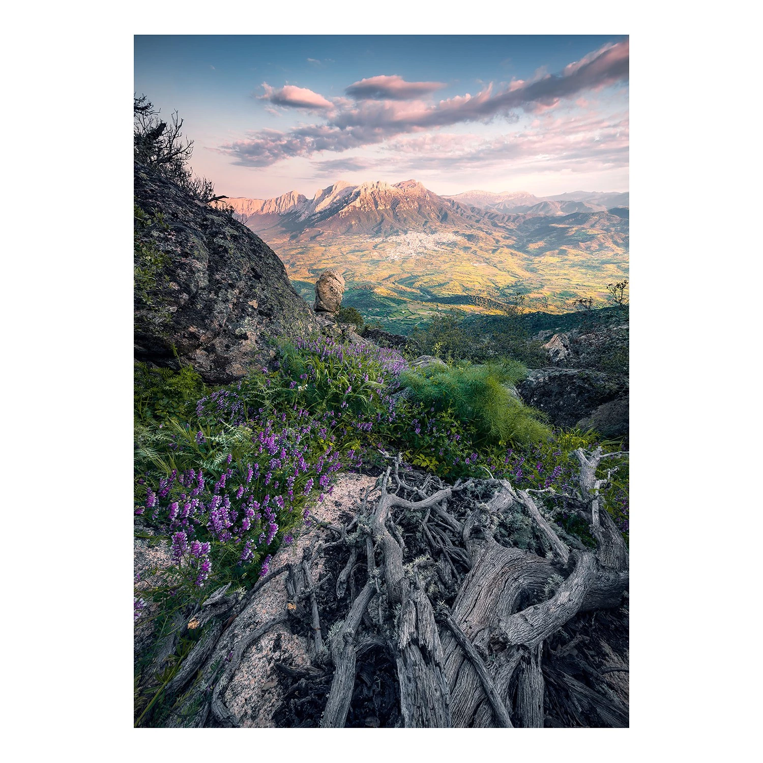 Komar Papier peint intissé Flowering Tales - Intissé - Multicolore