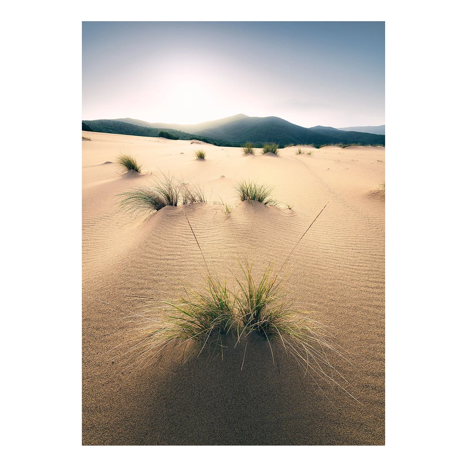 Komar Papier peint intissé Vivid Dunes - Largeur : 200 cm