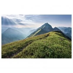 Komar Papier peint intissé Green Vein - Intissé - Vert / Bleu / Blanc