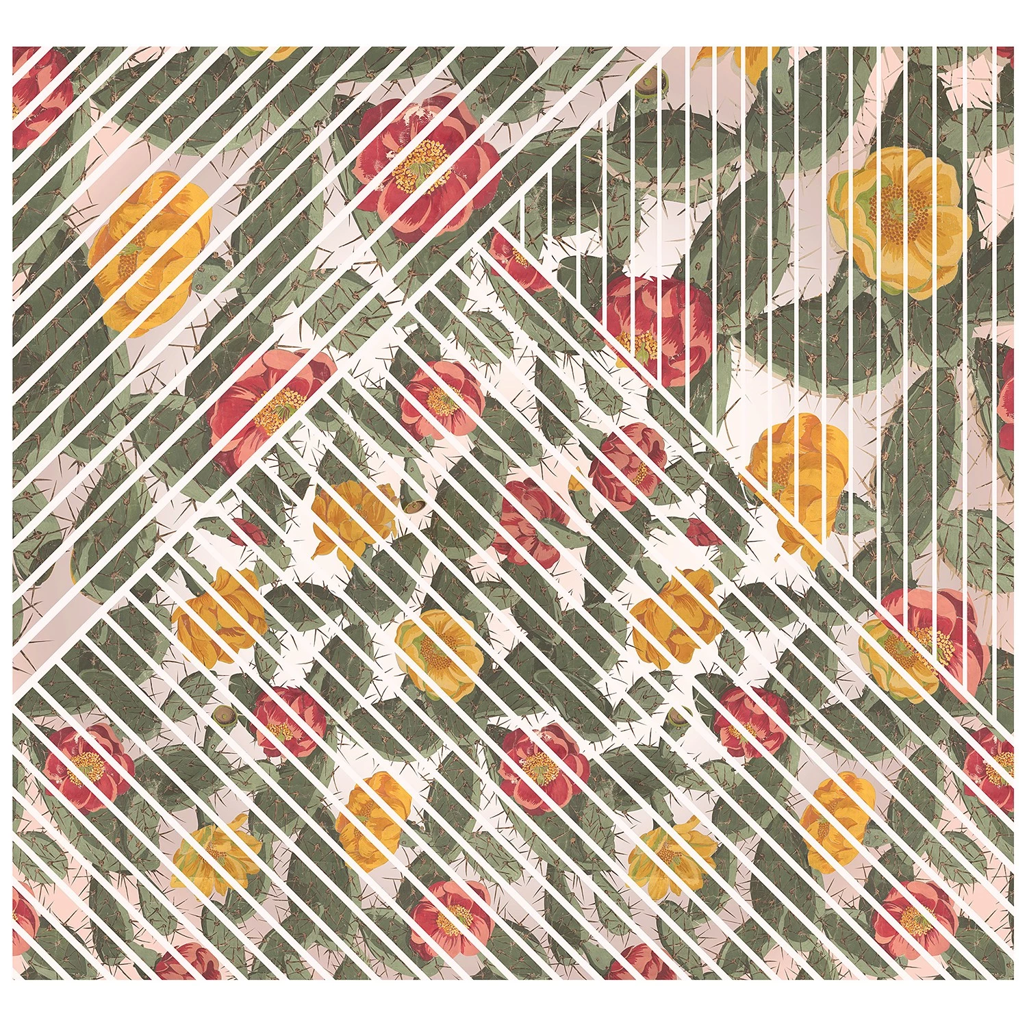 Komar Papier peint intissé Cactus - Intissé - Multicolore