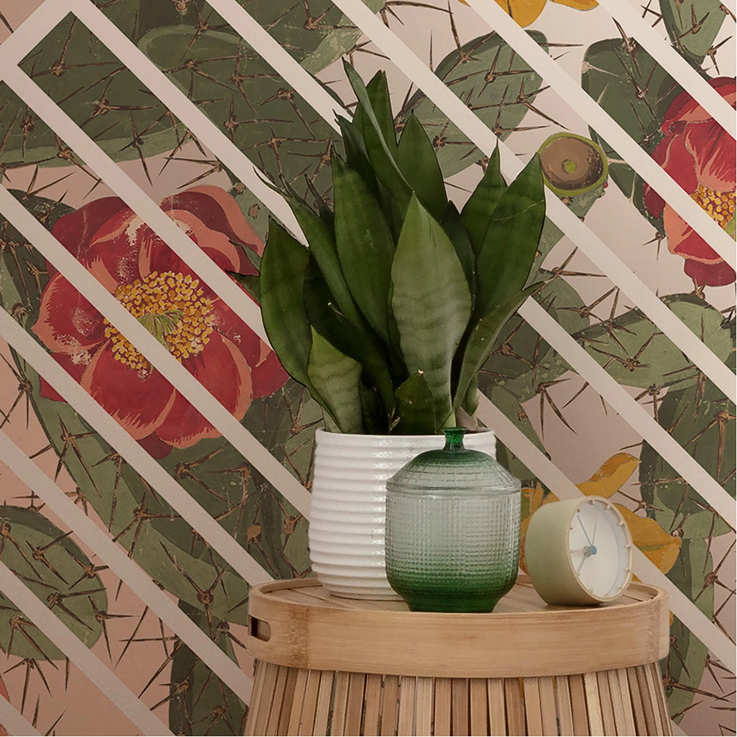 Komar Papier peint intissé Cactus - Intissé - Multicolore – Image 2