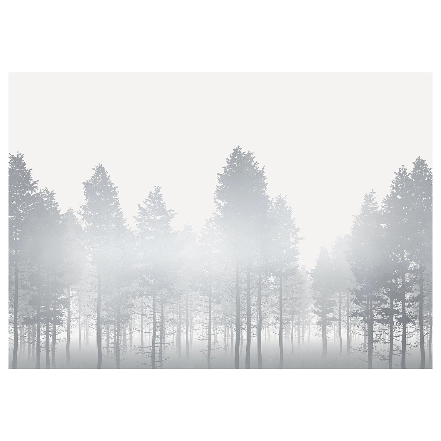 Komar Papier peint intissé Silver Haze - Intissé - Argenté / Blanc / Gris