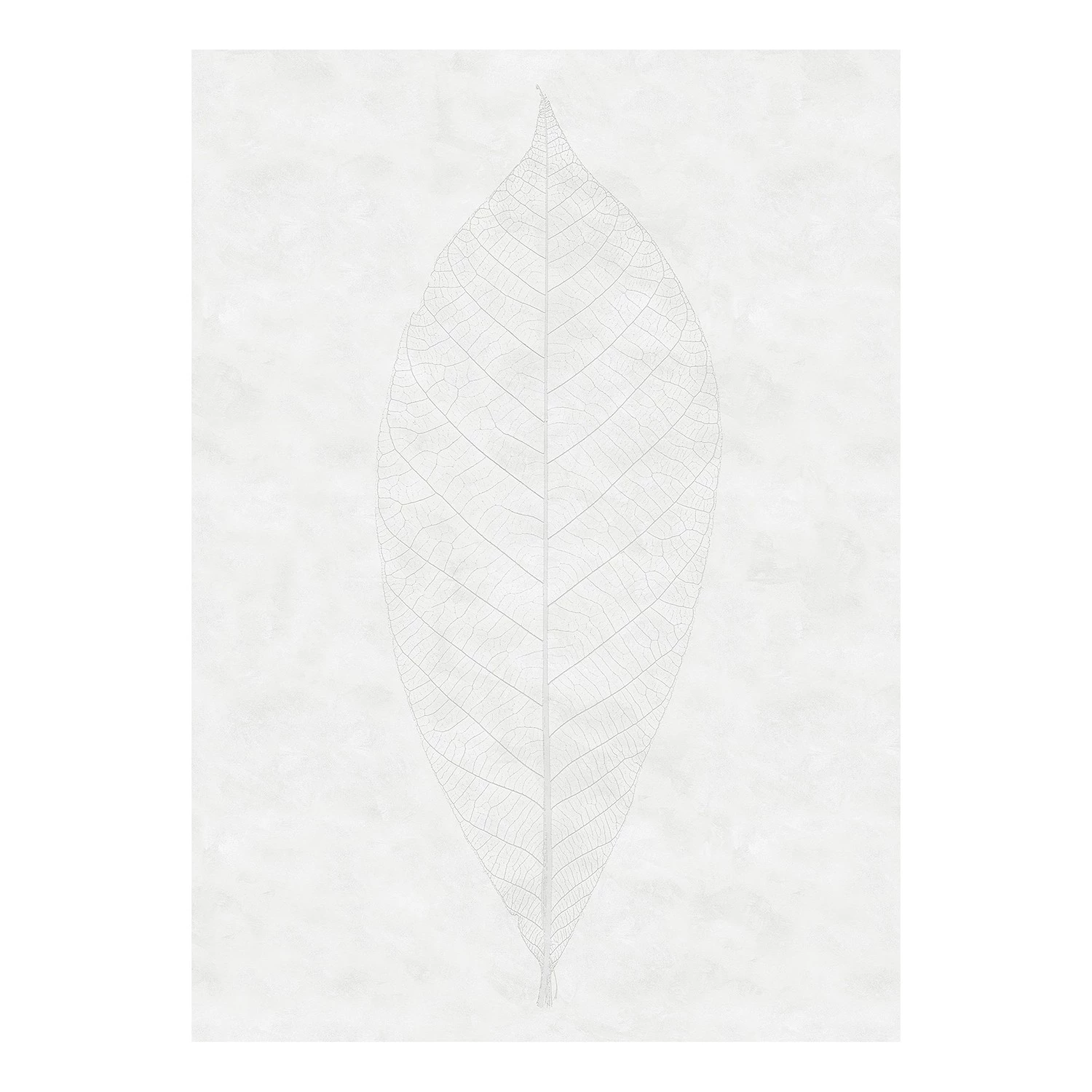 Komar Papier peint intissé Decent Leaf - Intissé - Blanc / Gris