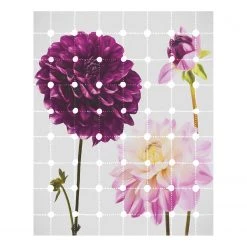Komar Papier peint intissé Flowers & Dots - Intissé - Multicolore