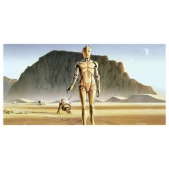Komar Papier peint Star Wars RMQ Droids - Intissé - Jaune / Marron