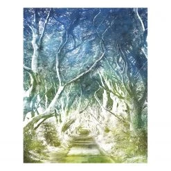 Komar Papier peint intissé Alley - Intissé - Multicolore