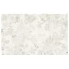Komar Papier peint intissé Sheer Grey - Intissé - Multicolore