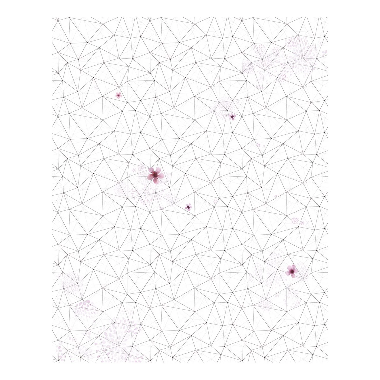 Komar Papier peint intissé Cherry Blossom - Intissé - Multicolore