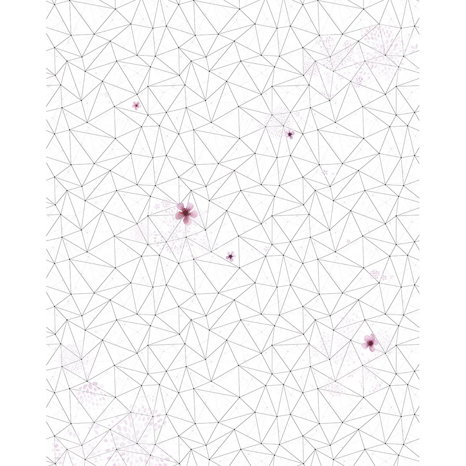 Komar Papier peint intissé Cherry Blossom - Intissé - Multicolore – Image 4