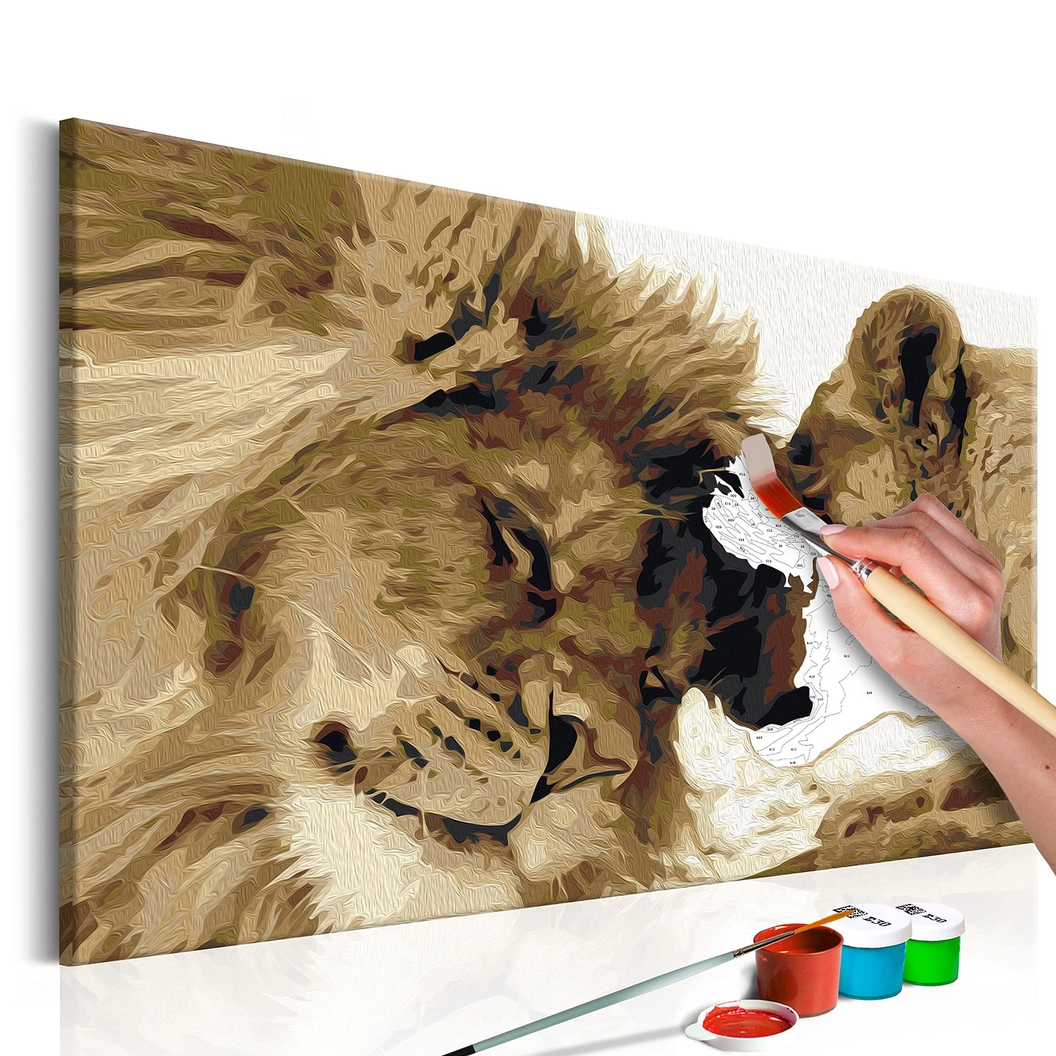 Artgeist Peinture par numéro - Couple de lions - Toile - Blanc – Image 3