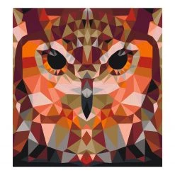 Artgeist Peinture par numéro - Chouette - Toile - Marron