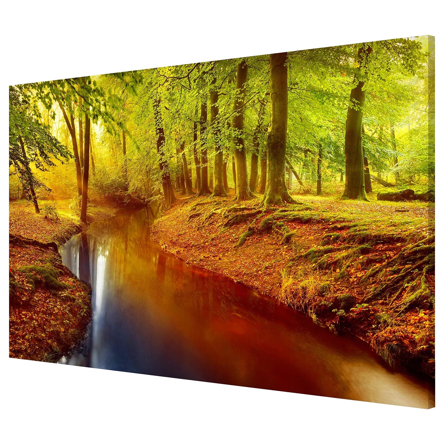 Bilderwelten Tableau magnétique Bois d’automne - Acier / Film vinyle - Marron / Vert - 90 x 60 cm – Image 2