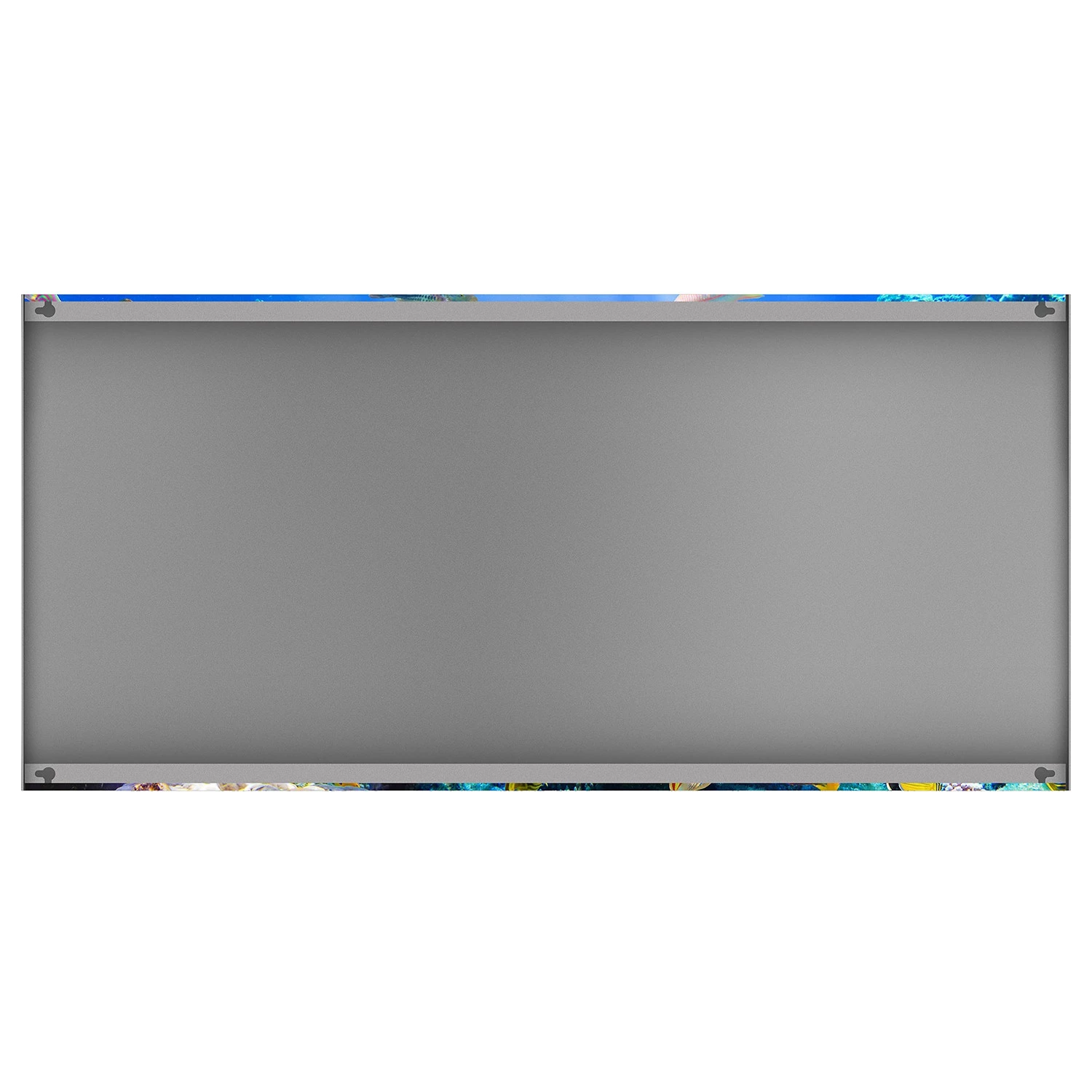 Bilderwelten Tableau magnétique Underwater Reef - Acier / Film vinyle - Bleu – Image 3