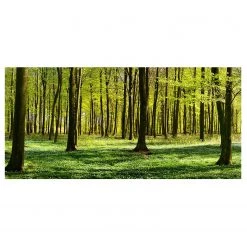 Bilderwelten Tableau magnétique Clairière - Acier / Film vinyle - Vert