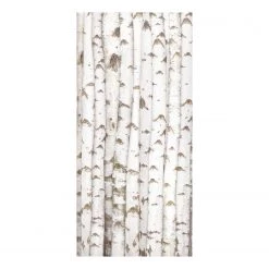Bilderwelten Tableau magnétique Bouleaux - Acier / Film vinyle - Blanc