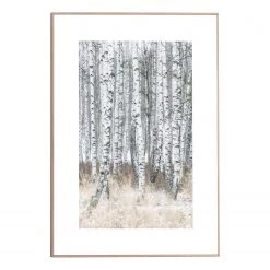 Reinders Tableau déco Bouleaux - Blanc