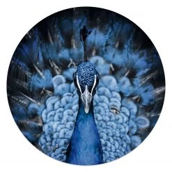 Reinders Tableau déco Paon I - Bleu