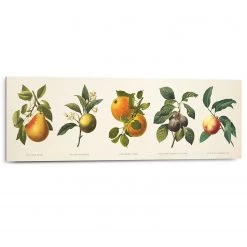 Reinders Tableau déco Fruits - Jaune