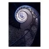 Komar Papier peint en intissé Colimaçon - Intissé - Bleu / Noir