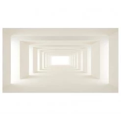 Artgeist Papier peint en intissé Into the Light - Intissé - Blanc / Beige - 500 x 280 m