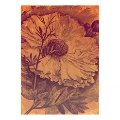 Komar Papier peint intissé Harvest - Intissé - Marron