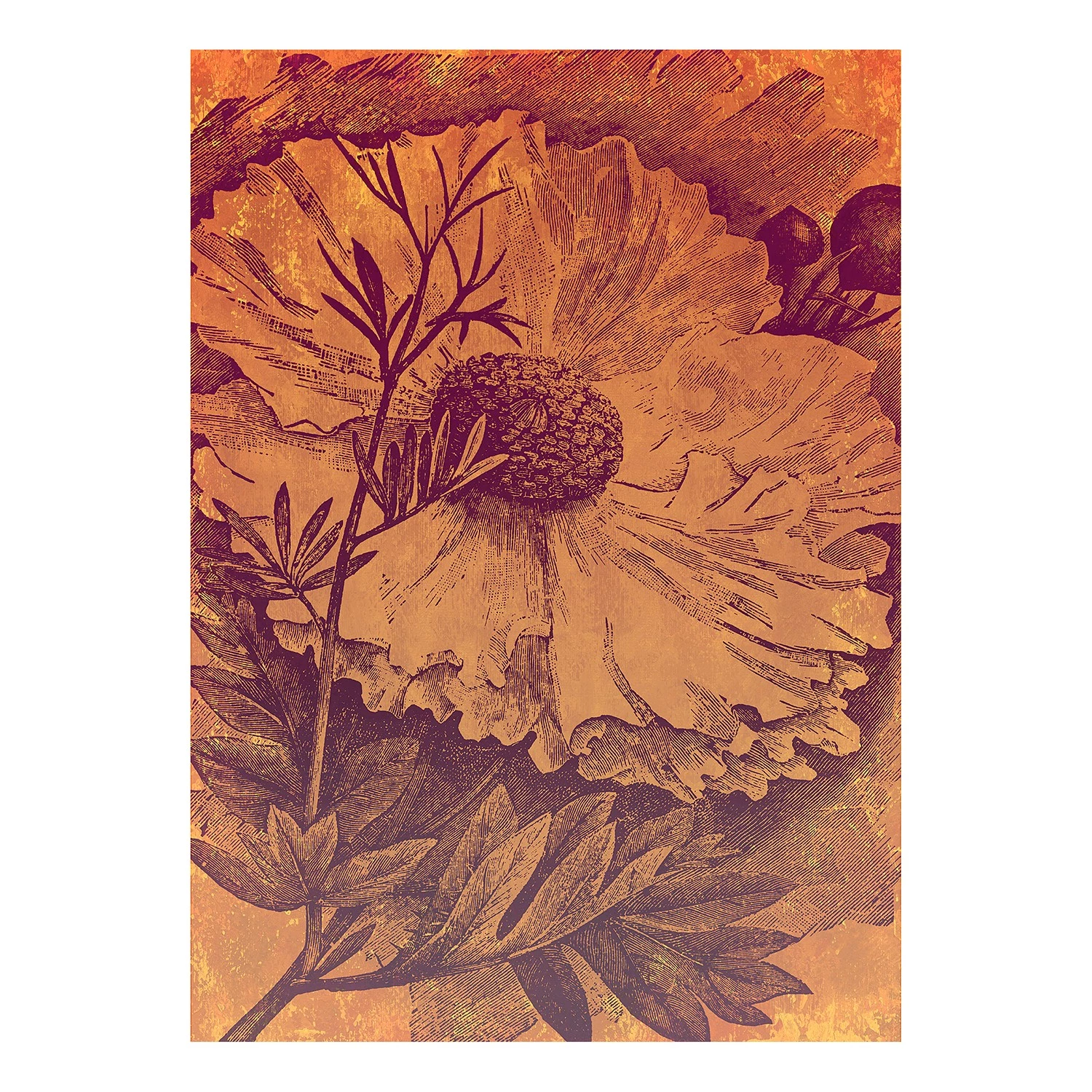 Komar Papier peint intissé Harvest - Intissé - Marron