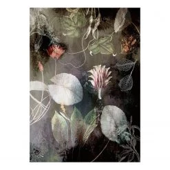 Komar Papier peint intissé Night Flowers - Intissé - Multicolore