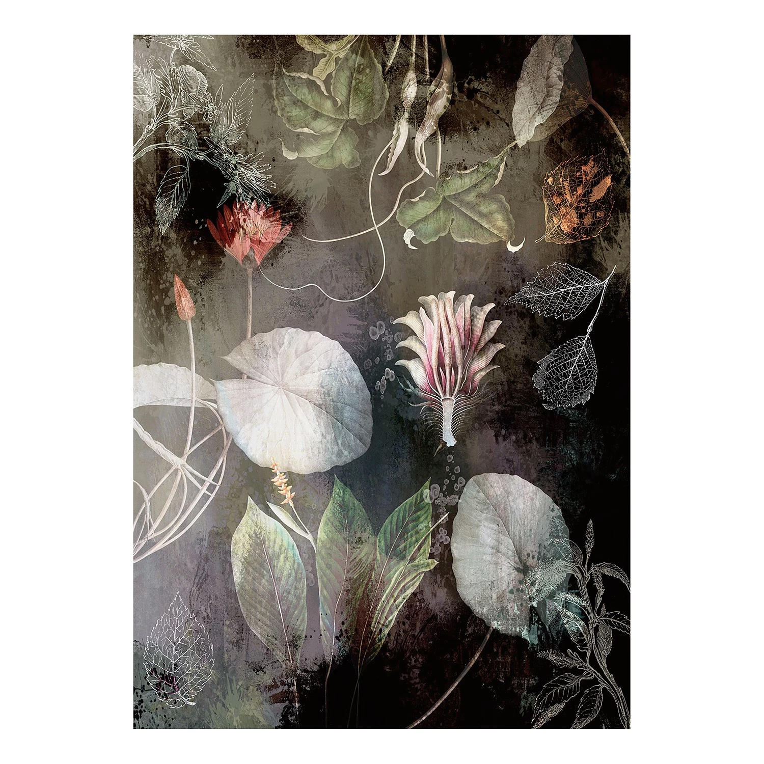 Komar Papier peint intissé Night Flowers - Intissé - Multicolore
