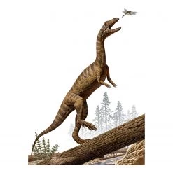 Komar Papier peint intissé Effigia - Intissé - Multicolore