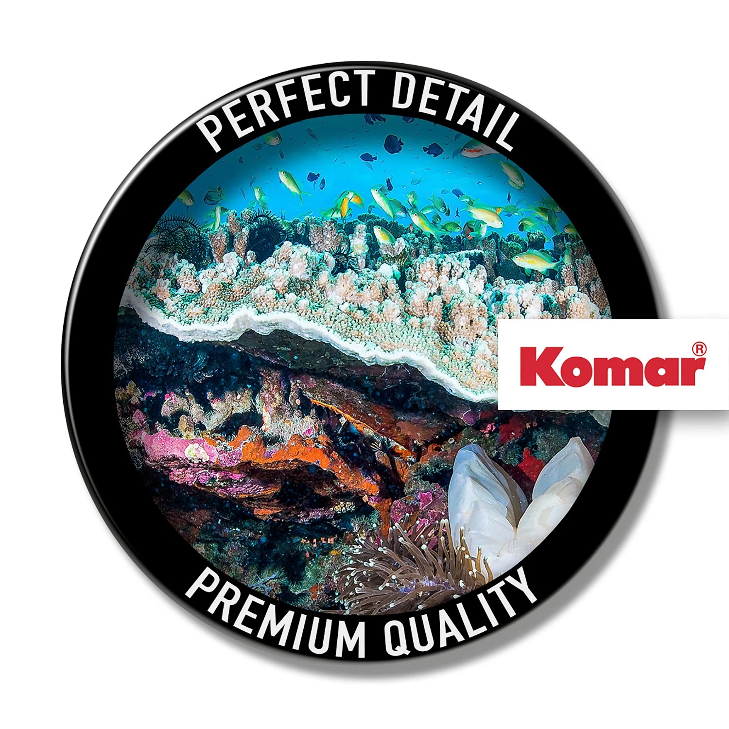 Komar Papier peint intissé Coral Reef - Intissé - Multicolore – Image 3