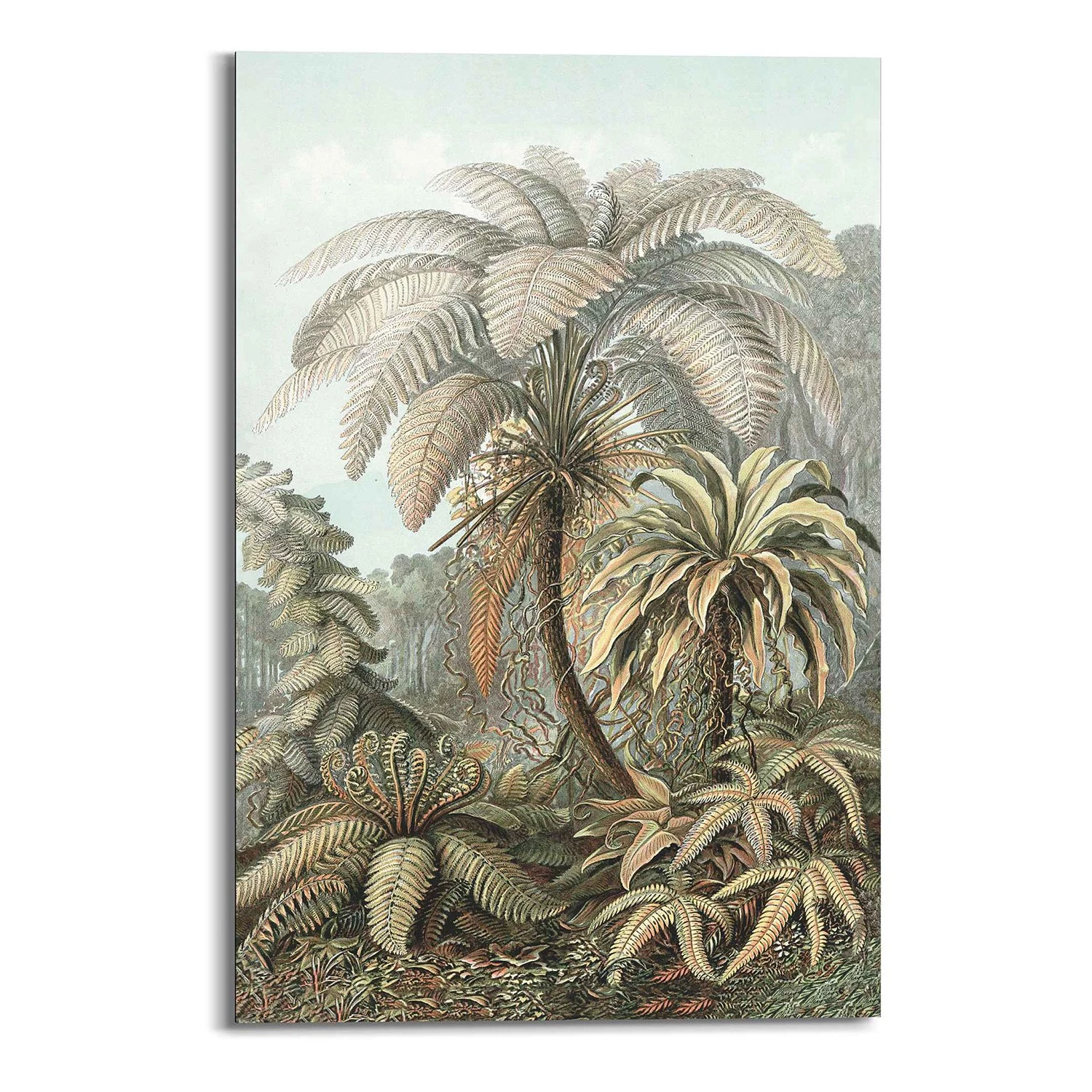 Reinders Tableau déco Art of Nature Filicina - Bois manufacturé - Vert - 60 cm x 90 cm x 2 cm