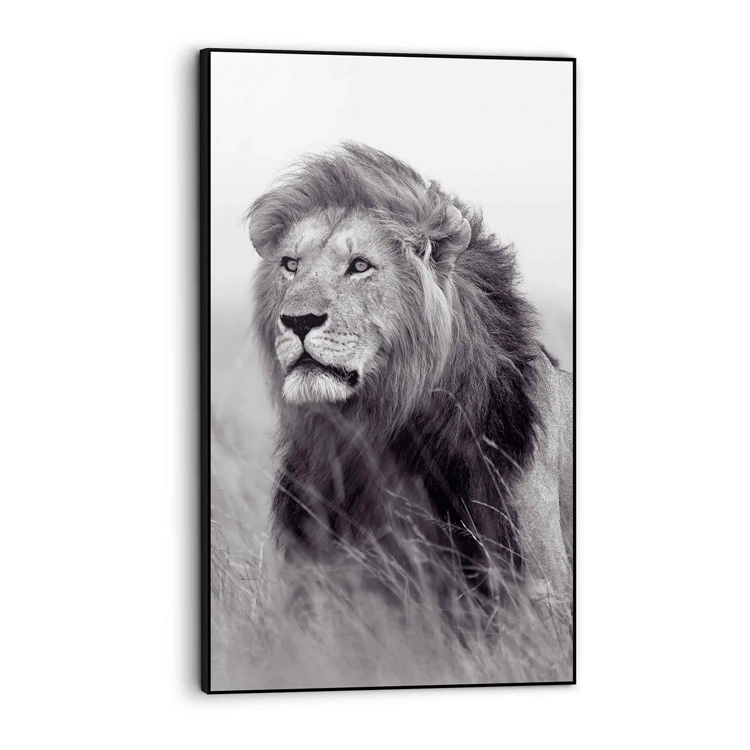 Reinders Tableau déco Lion roi de la savane - Bois manufacturé - Noir - 70 cm x 118 cm x 3,7 cm