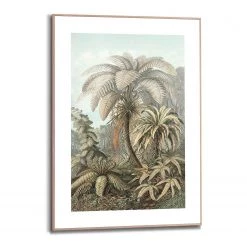 Reinders Tableau déco Filicina Ernst Haeckel - Bois manufacturé - Vert - 50 cm x 70 cm x 1,6 cm