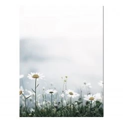 Any Image Tableau déco Alpine Meadow - Alu-Dibond / Plexiglas - 60 x 80 cm