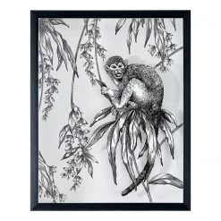 Art for the Home Tableau déco Saimiri Monkey - Matière plastique / Plexiglas - Noir / Blanc