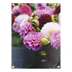 Art for the Home Affiche Dahlias - Polyester PVC - Multicolore