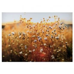 Art for the Home Impression sur toile Fieldflower - Toile / MDF - Multicolore