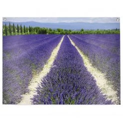 Art for the Home Affiche Lavande - Polyester PVC - Violet
