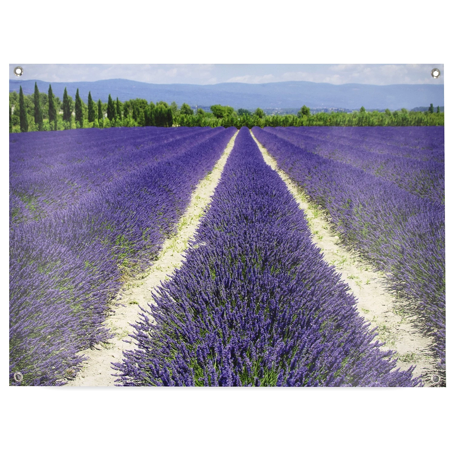 Art for the Home Affiche Lavande - Polyester PVC - Violet