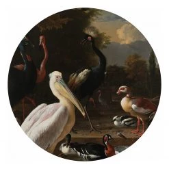 Art for the Home Papier peint Rijksmuseum Birds - Intissé - Multicolore