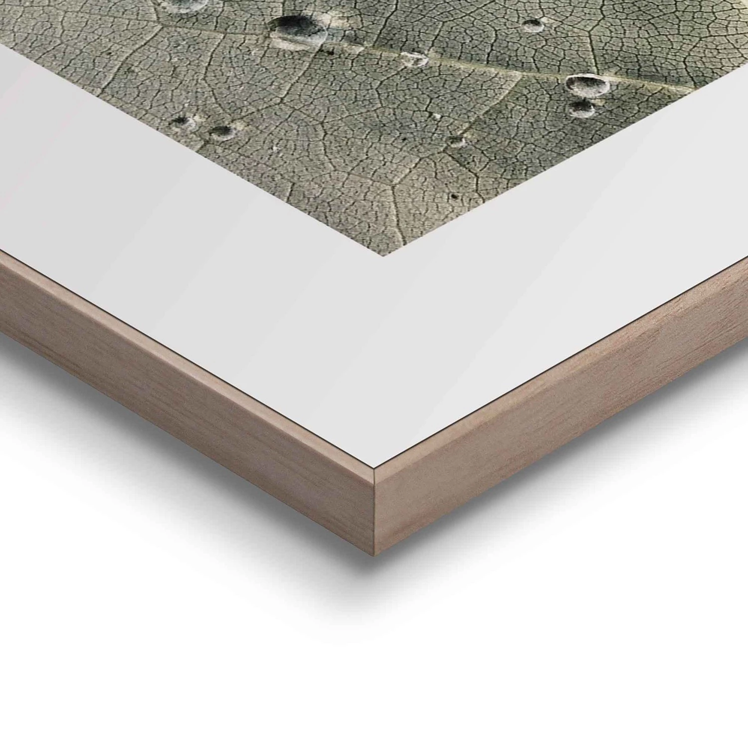 Reinders Tableaux déco Gouttes de rosée (2 élém.) - Impression dans cadre en bois - Vert – Image 3