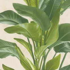 Livingwalls Papier peint en intissé Antonio Jungle - Intissé - Crème