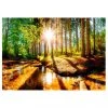 Artgeist Papier peint Marvelous Forest - Papier peint en intissé premium - Multicolore - 150 x 105 cm