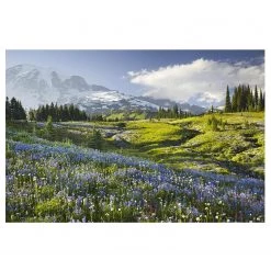 Bilderwelten Papier peint intissé Colline fleurie - Papier peint - Vert - 432 x 290 cm